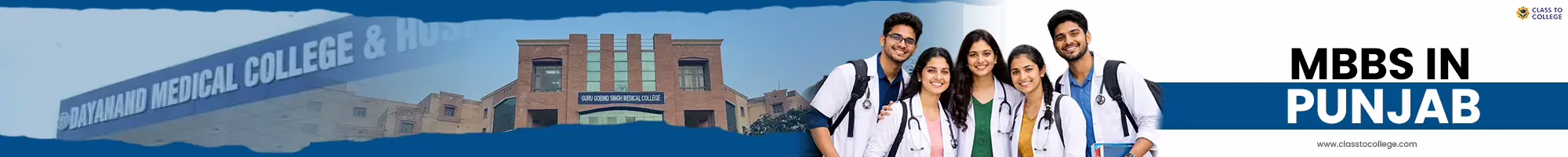 mbbs in punjab